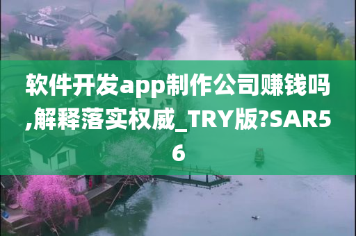 软件开发app制作公司赚钱吗,解释落实权威_TRY版?SAR56