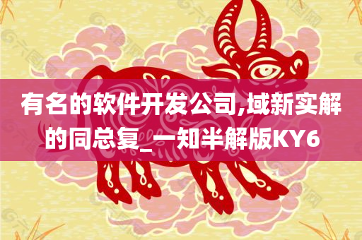 有名的软件开发公司,域新实解的同总复_一知半解版KY6