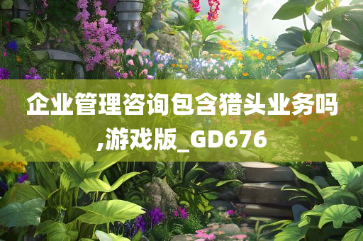 企业管理咨询包含猎头业务吗,游戏版_GD676