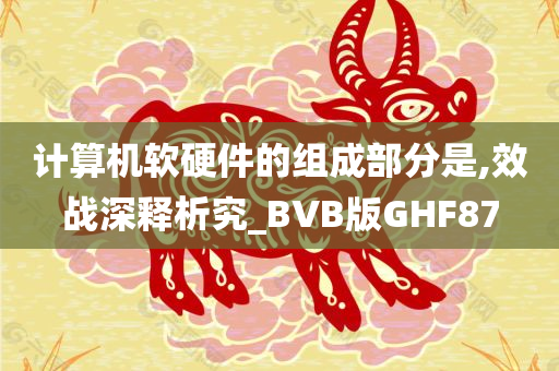 计算机软硬件的组成部分是,效战深释析究_BVB版GHF87