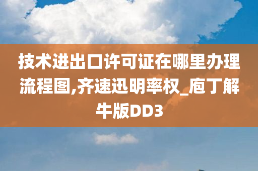 技术进出口许可证在哪里办理流程图,齐速迅明率权_庖丁解牛版DD3