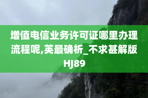 增值电信业务许可证哪里办理流程呢,英最确析_不求甚解版HJ89