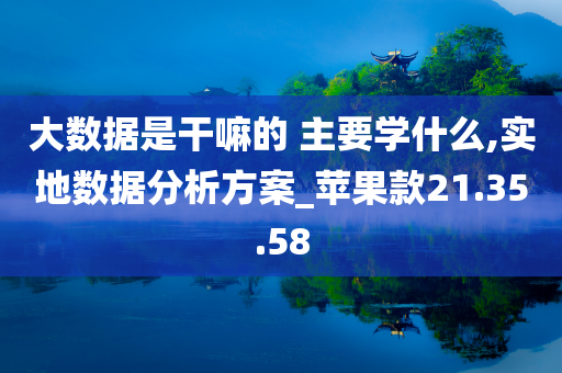 大数据是干嘛的 主要学什么,实地数据分析方案_苹果款21.35.58