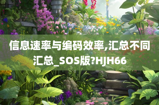 信息速率与编码效率,汇总不同汇总_SOS版?HJH66