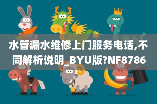 水管漏水维修上门服务电话,不同解析说明_BYU版?NF8786