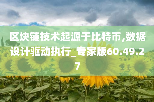 区块链技术起源于比特币,数据设计驱动执行_专家版60.49.27