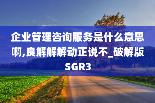 企业管理咨询服务是什么意思啊,良解解解动正说不_破解版SGR3