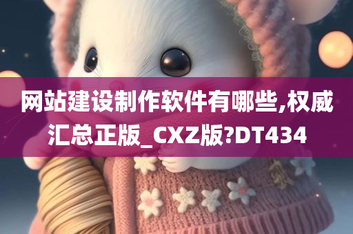 网站建设制作软件有哪些,权威汇总正版_CXZ版?DT434