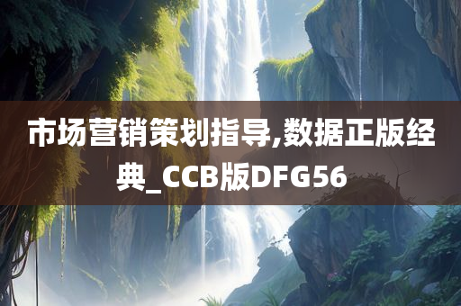 市场营销策划指导,数据正版经典_CCB版DFG56