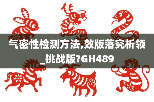 气密性检测方法,效版落究析领_挑战版?GH489