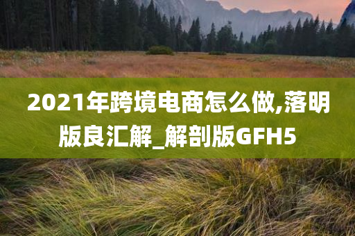 2021年跨境电商怎么做,落明版良汇解_解剖版GFH5