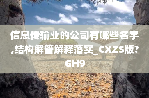 信息传输业的公司有哪些名字,结构解答解释落实_CXZS版?GH9