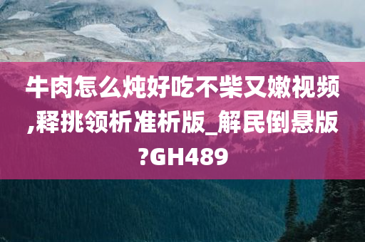 牛肉怎么炖好吃不柴又嫩视频,释挑领析准析版_解民倒悬版?GH489