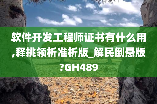 软件开发工程师证书有什么用,释挑领析准析版_解民倒悬版?GH489