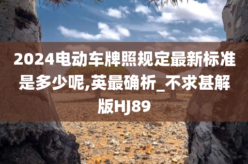 2024电动车牌照规定最新标准是多少呢,英最确析_不求甚解版HJ89