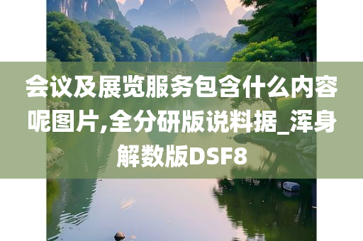 会议及展览服务包含什么内容呢图片,全分研版说料据_浑身解数版DSF8