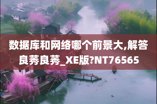 数据库和网络哪个前景大,解答良莠良莠_XE版?NT76565