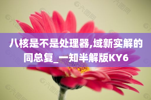 八核是不是处理器,域新实解的同总复_一知半解版KY6