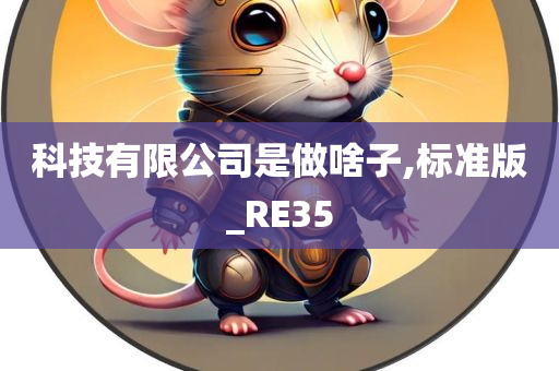 科技有限公司是做啥子,标准版_RE35