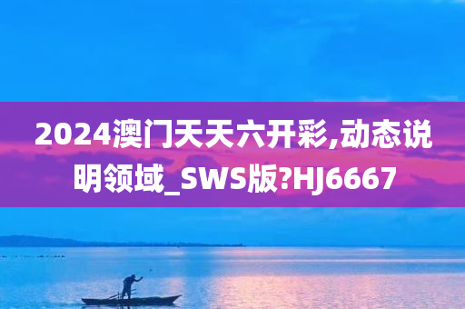 2024澳门天天六开彩,动态说明领域_SWS版?HJ6667