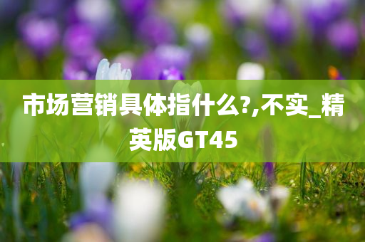 市场营销具体指什么?,不实_精英版GT45