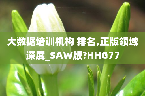 大数据培训机构 排名,正版领域深度_SAW版?HHG77