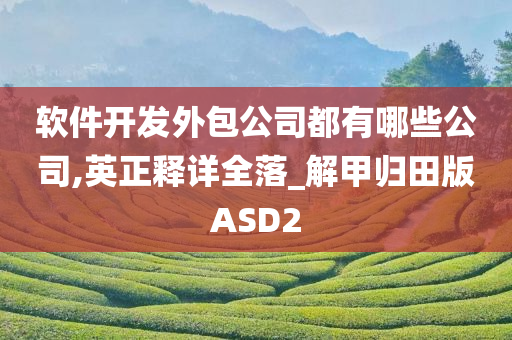 软件开发外包公司都有哪些公司,英正释详全落_解甲归田版ASD2