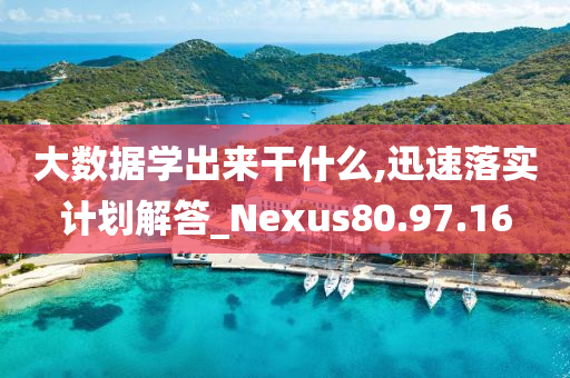 大数据学出来干什么,迅速落实计划解答_Nexus80.97.16