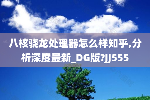 八核骁龙处理器怎么样知乎,分析深度最新_DG版?JJ555