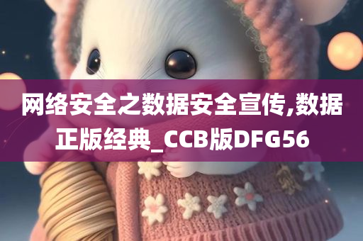 网络安全之数据安全宣传,数据正版经典_CCB版DFG56