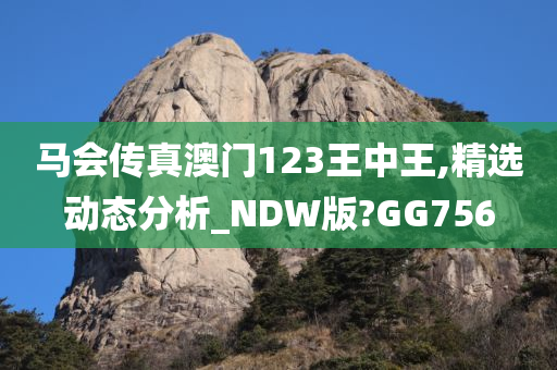 马会传真澳门123王中王,精选动态分析_NDW版?GG756