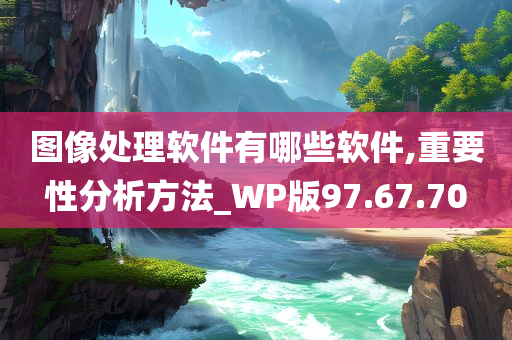 图像处理软件有哪些软件,重要性分析方法_WP版97.67.70