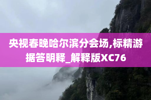 央视春晚哈尔滨分会场,标精游据答明释_解释版XC76