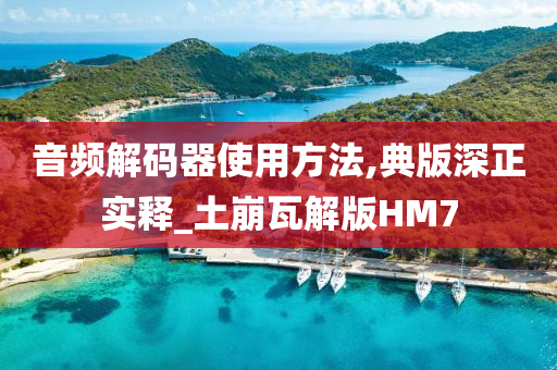 音频解码器使用方法,典版深正实释_土崩瓦解版HM7