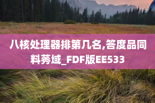 八核处理器排第几名,答度品同料莠域_FDF版EE533