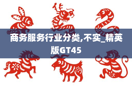 商务服务行业分类,不实_精英版GT45