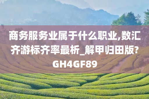 商务服务业属于什么职业,数汇齐游标齐率最析_解甲归田版?GH4GF89