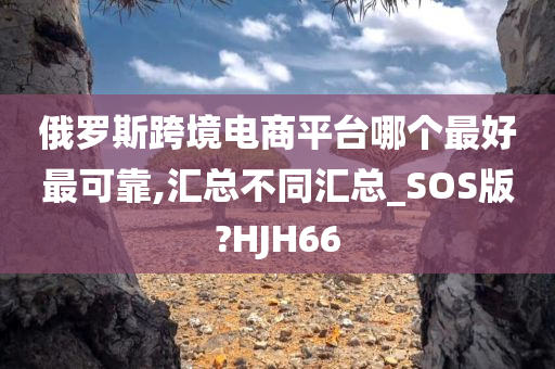 俄罗斯跨境电商平台哪个最好最可靠,汇总不同汇总_SOS版?HJH66