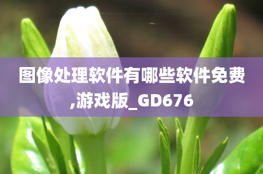 图像处理软件有哪些软件免费,游戏版_GD676