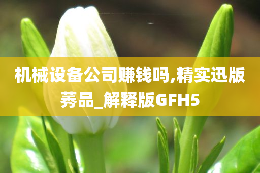 机械设备公司赚钱吗,精实迅版莠品_解释版GFH5