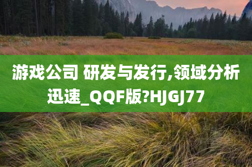 游戏公司 研发与发行,领域分析迅速_QQF版?HJGJ77