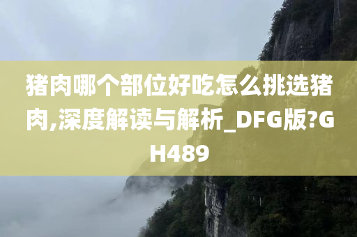 猪肉哪个部位好吃怎么挑选猪肉,深度解读与解析_DFG版?GH489