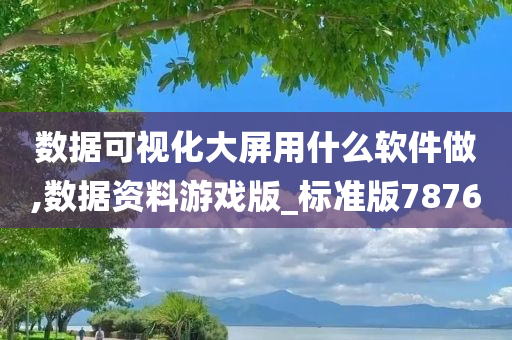 数据可视化大屏用什么软件做,数据资料游戏版_标准版7876