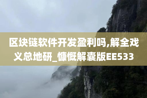 区块链软件开发盈利吗,解全戏义总地研_慷慨解囊版EE533