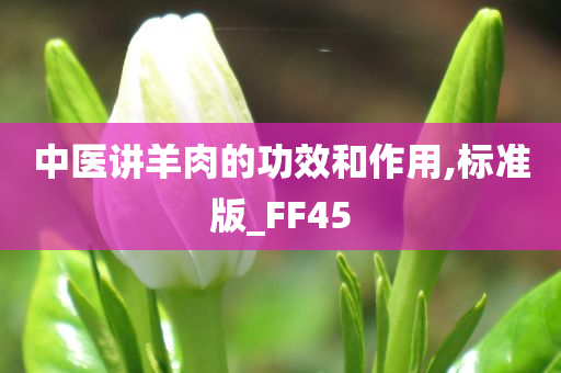 中医讲羊肉的功效和作用,标准版_FF45