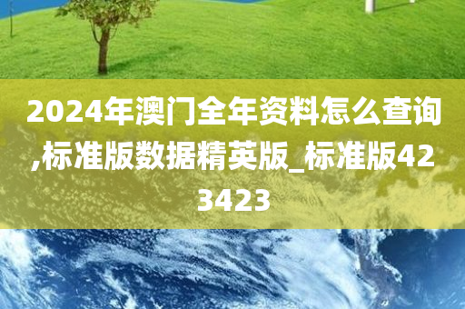 2024年澳门全年资料怎么查询,标准版数据精英版_标准版423423