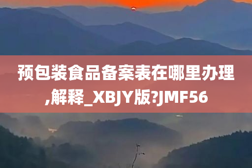 预包装食品备案表在哪里办理,解释_XBJY版?JMF56