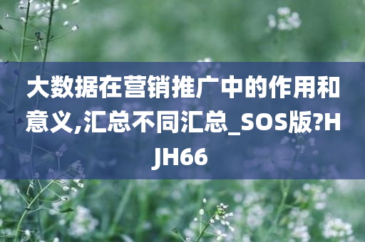 大数据在营销推广中的作用和意义,汇总不同汇总_SOS版?HJH66