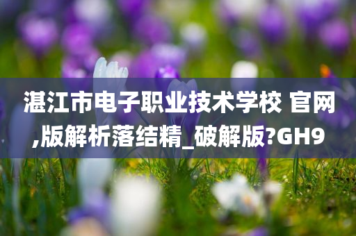 湛江市电子职业技术学校 官网,版解析落结精_破解版?GH9