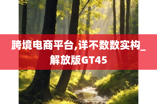 跨境电商平台,详不数数实构_解放版GT45